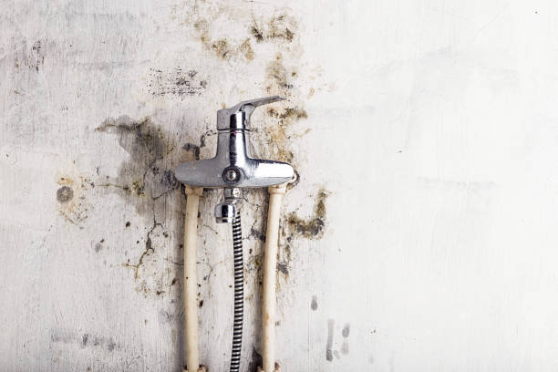Best Mold Testing  in , OK