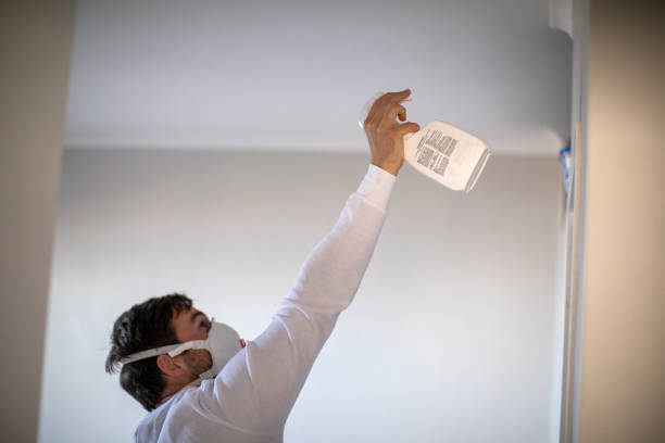 Best Mold Damage Repair  in , OK