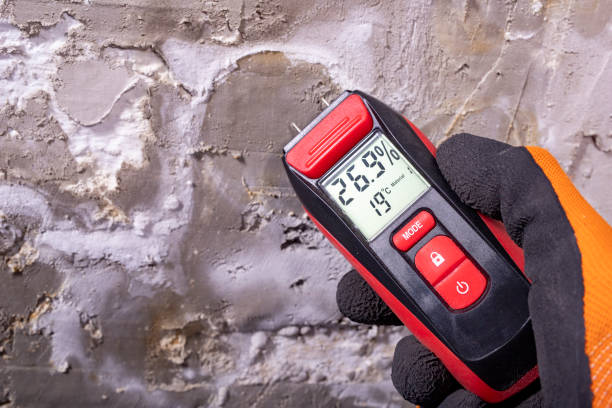  , OK Mold Removal Pros
