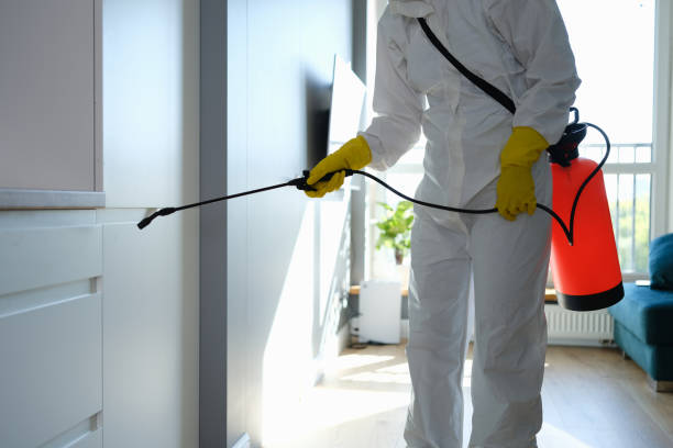 Best Same-Day Mold Removal  in , OK