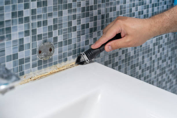 Best Black Mold Removal  in , OK